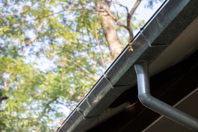 Clean and Inspect Gutter Systems