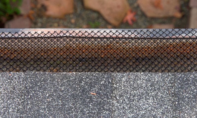 Gutter Guard Installation