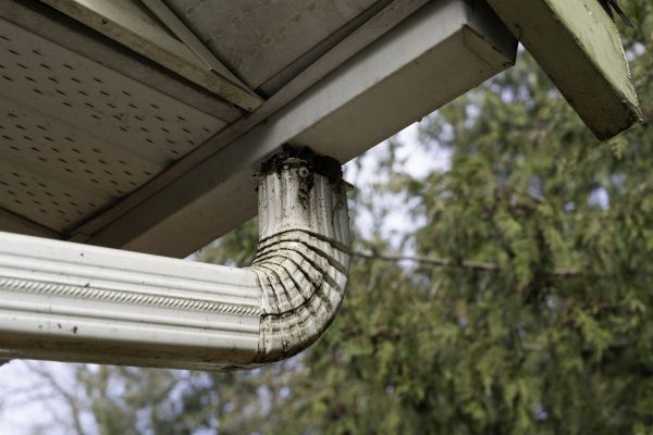 Roof Drain Replacement in Easton